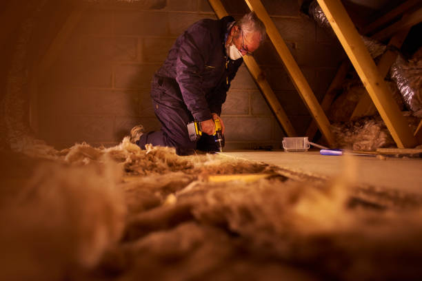 Eco-Friendly or Green Insulation Solutions in Monroe North, WA